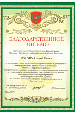 Благодарность Матвеев Курган 2017_2